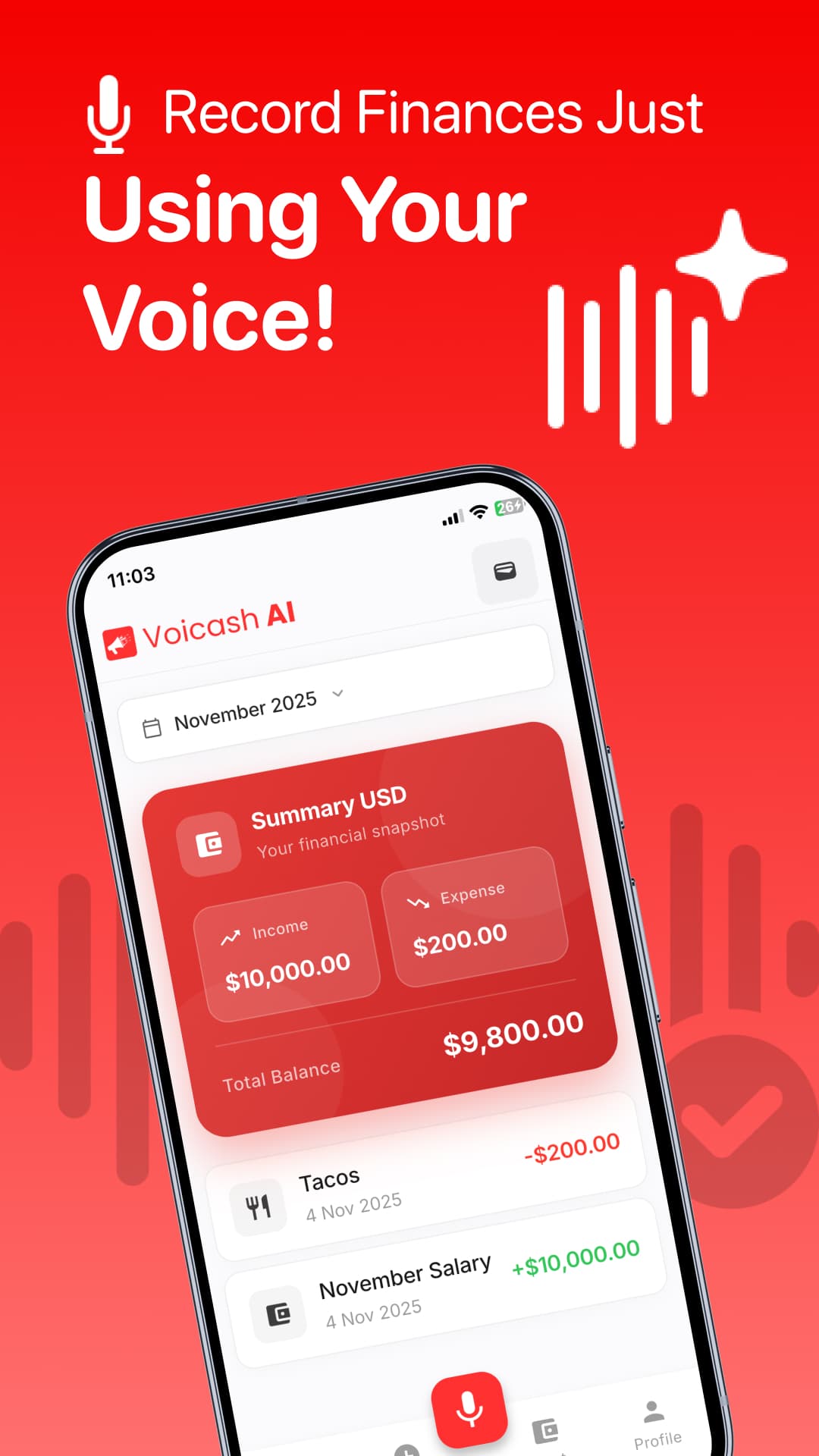 Voicash Screenshot 1